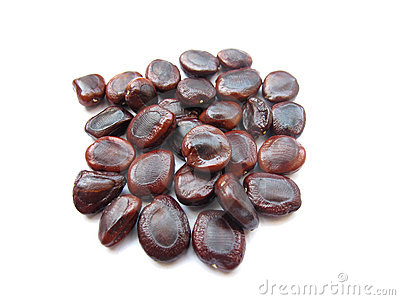 Tamarind Seeds Manufacturer Supplier Wholesale Exporter Importer Buyer Trader Retailer in Hyderabad Andhra Pradesh India